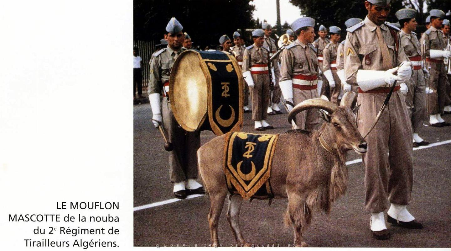 Oran - 2e Tirailleurs - La Nouba.JPG